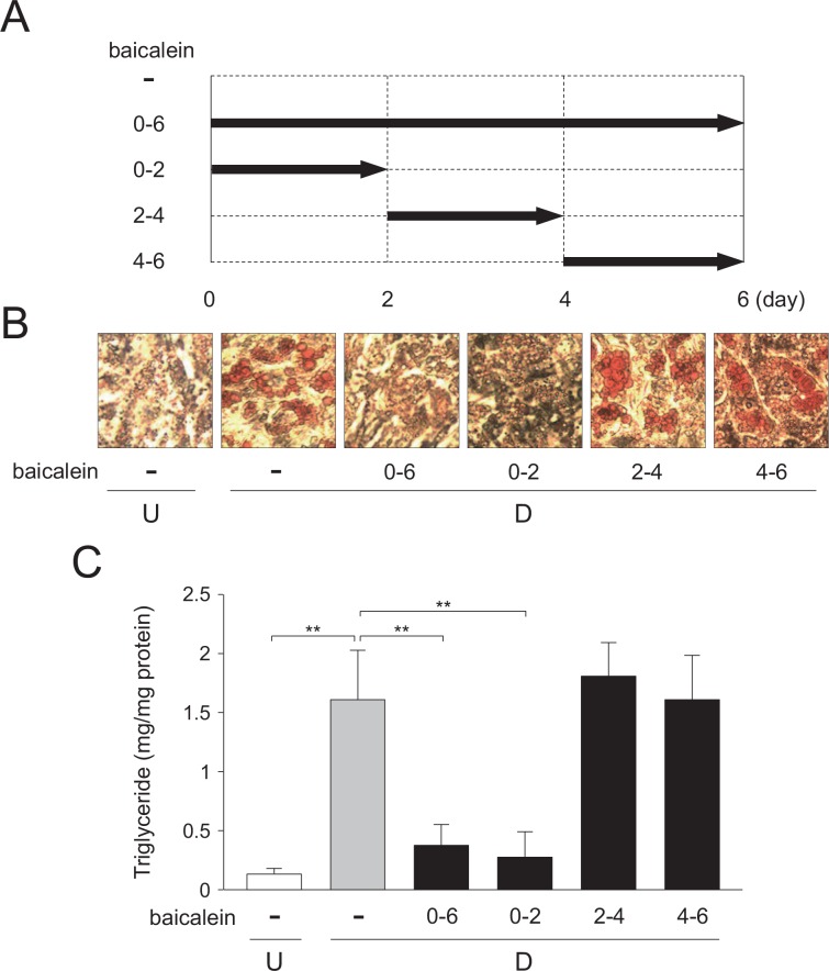 Fig 4