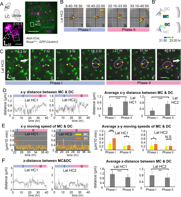 Figure 2—figure supplement 3.