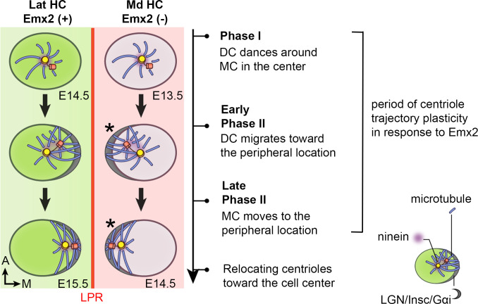 Figure 10.