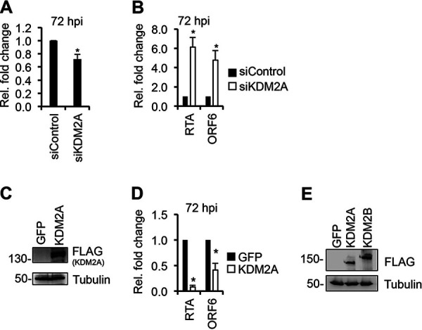 FIG 2