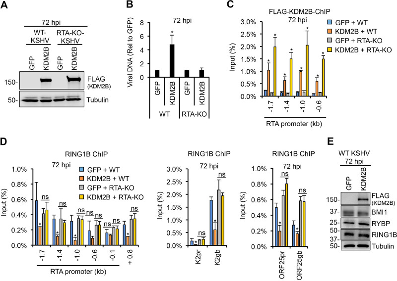 FIG 6