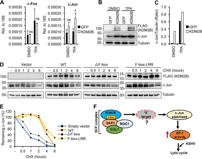 FIG 12