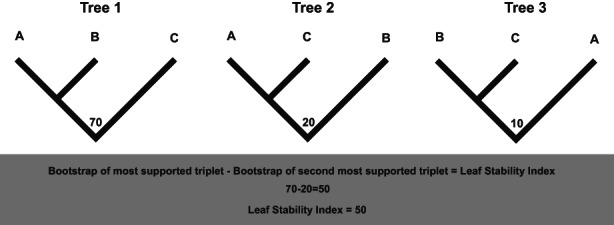 FIGURE 3