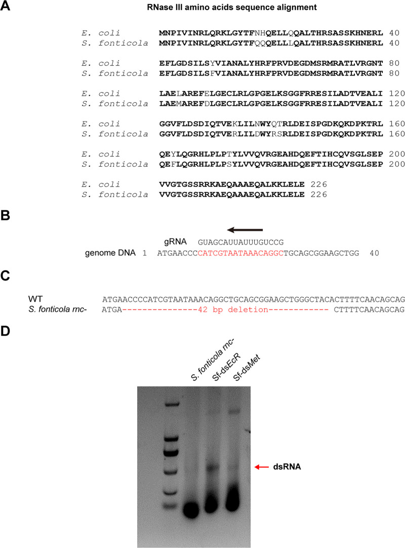 FIG 4