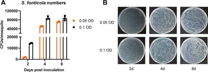 FIG 3