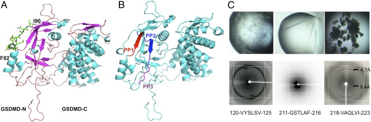 Fig. 6.