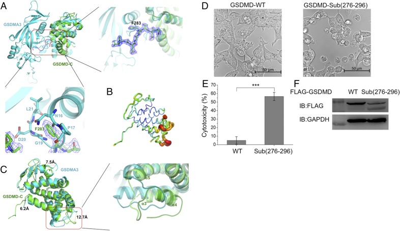 Fig. 2.