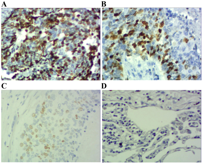 Figure 3.