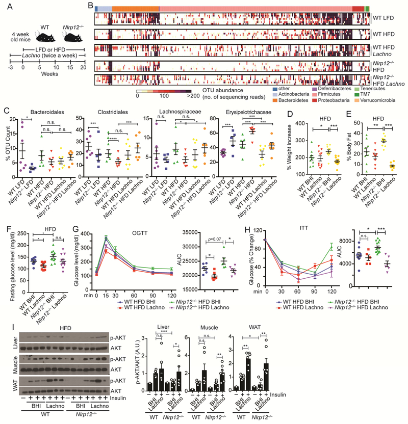 Figure 6: