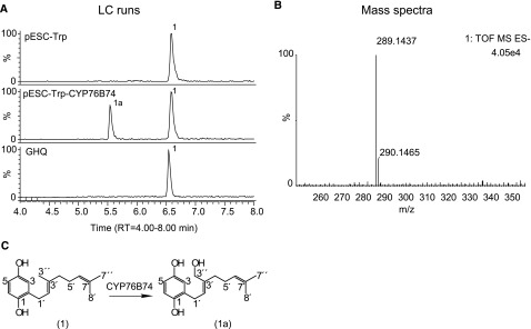 Figure 3.