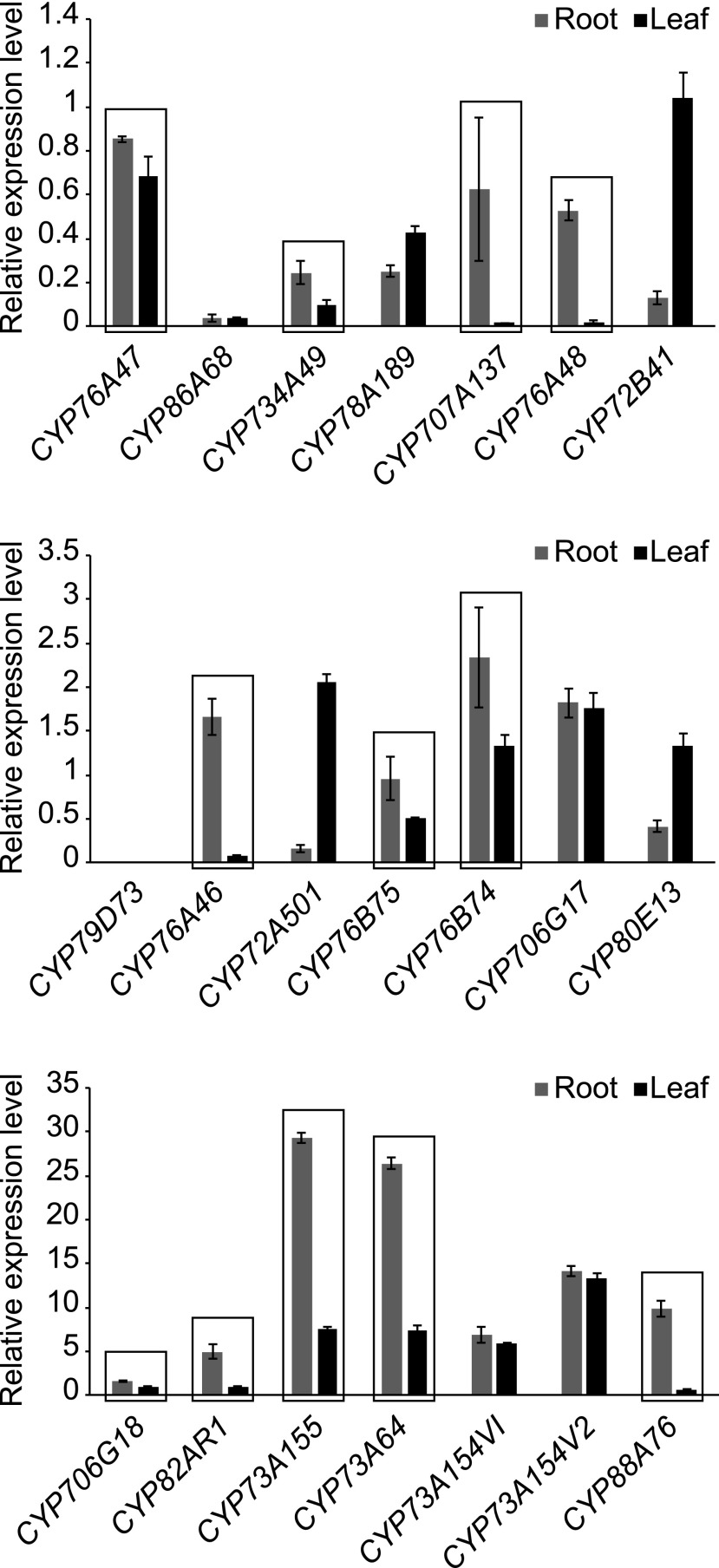 Figure 2.