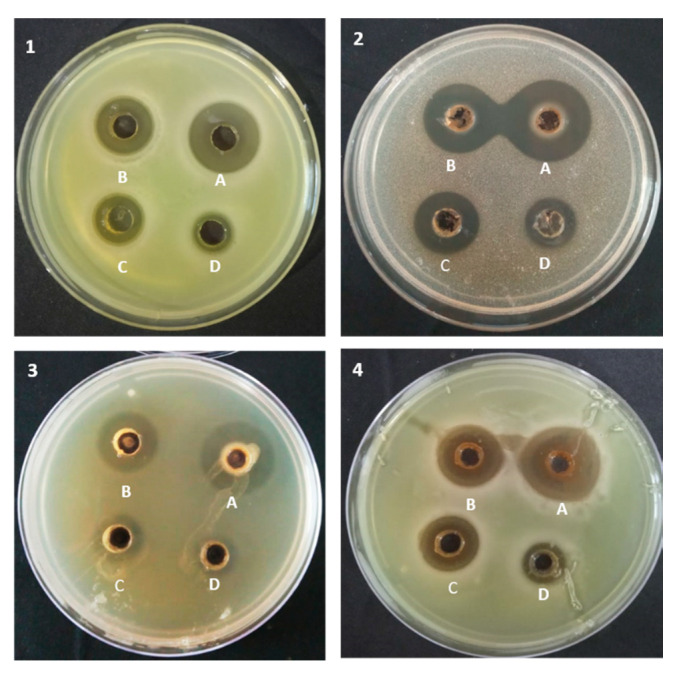 Figure 4