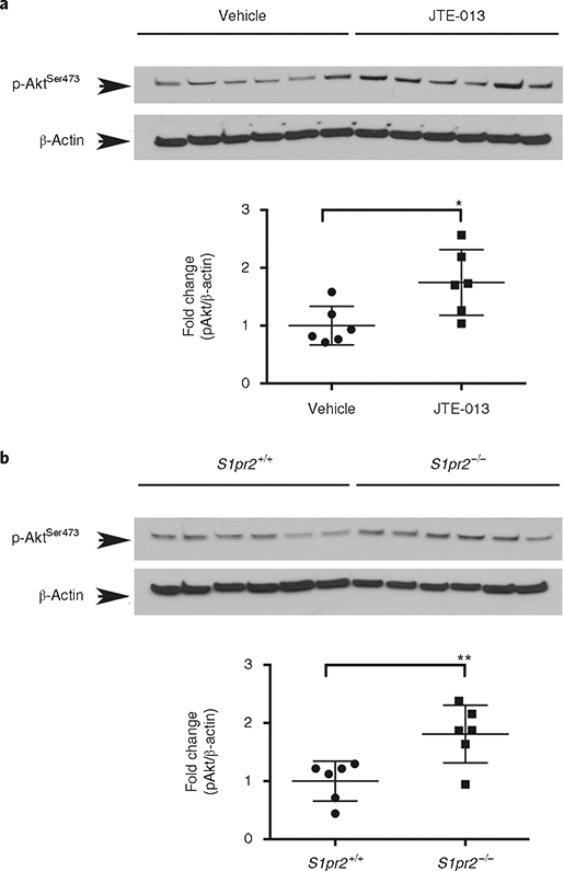 Fig. 7 |