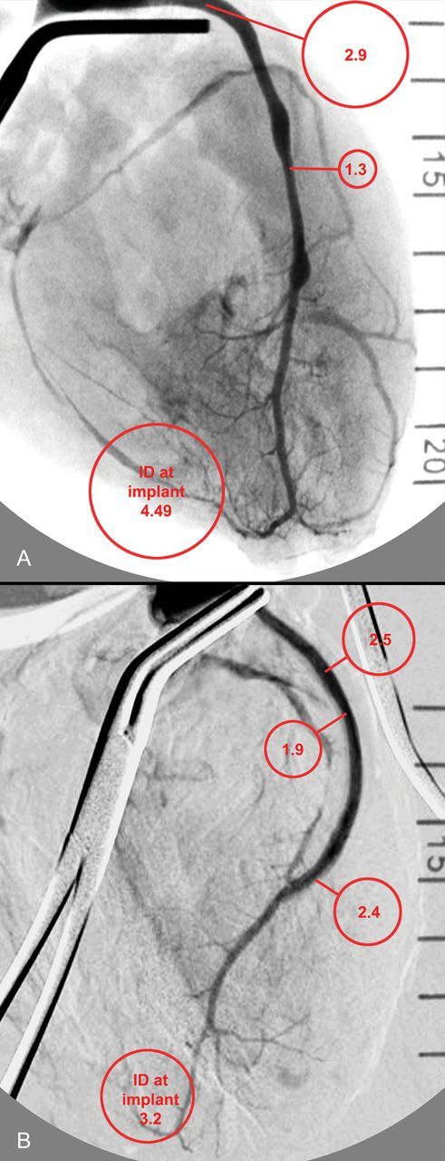 Figure 6: