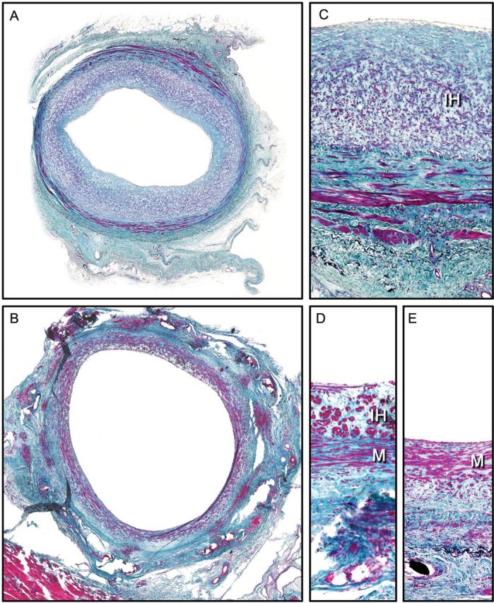 Figure 4: