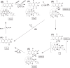 Fig 10