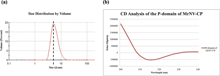 Fig 5