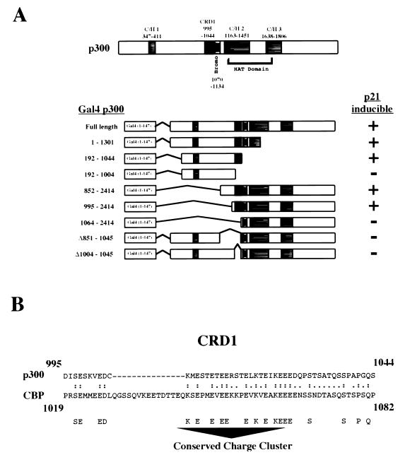 FIG. 6