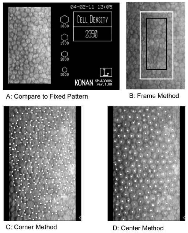 Figure 6