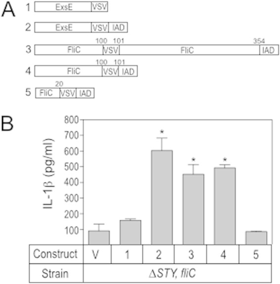 FIG 5