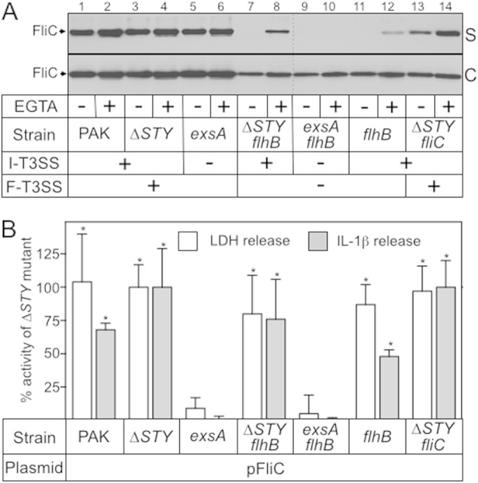 FIG 2