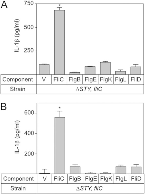 FIG 7