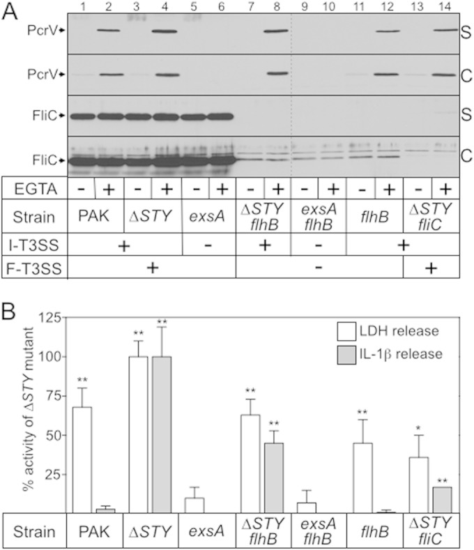 FIG 1