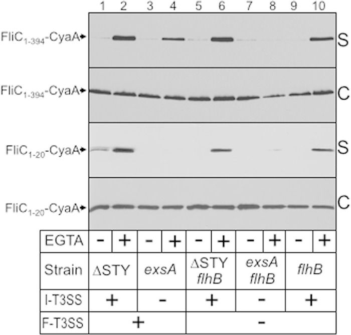 FIG 4