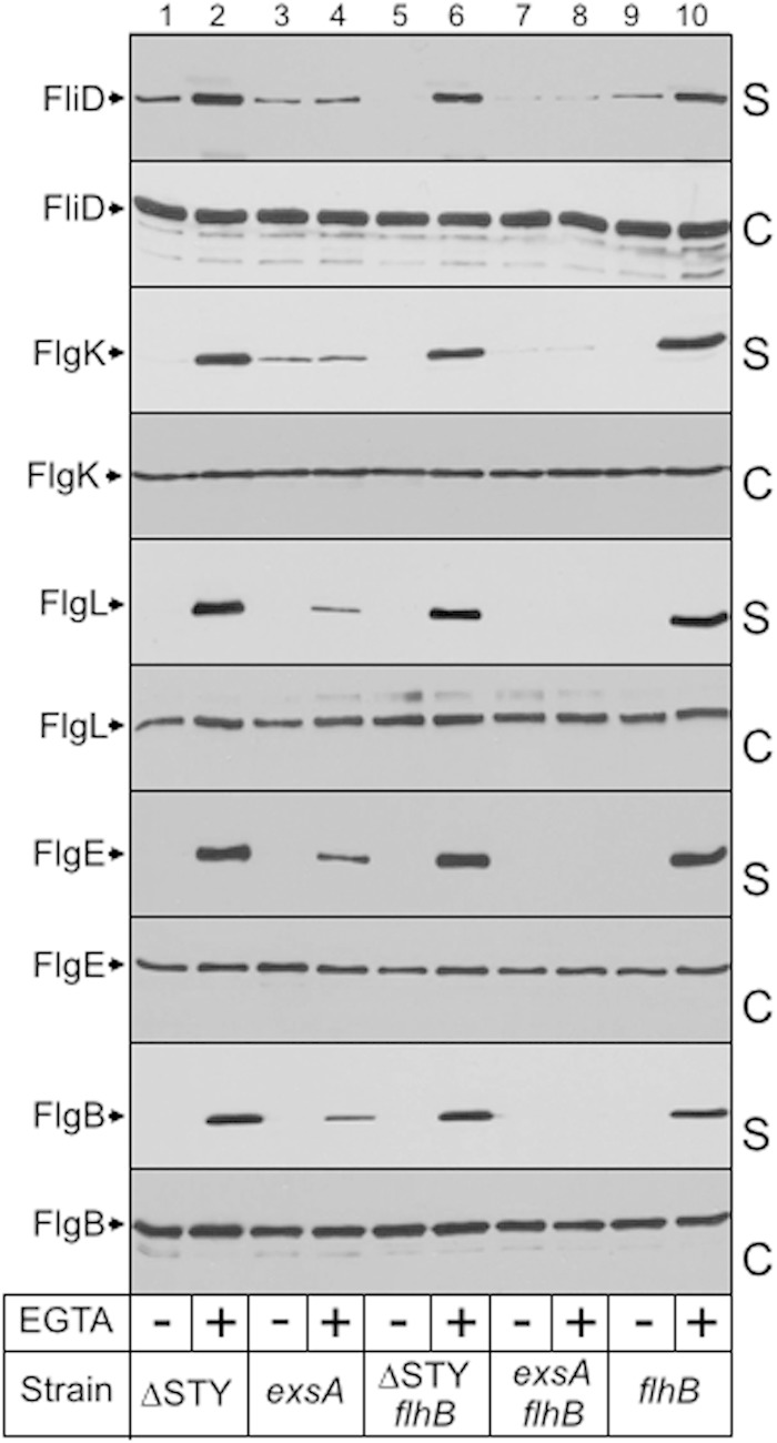 FIG 6