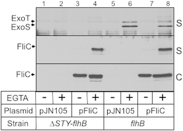 FIG 3