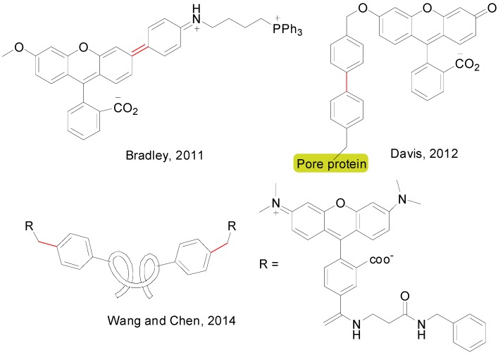 Figure 12