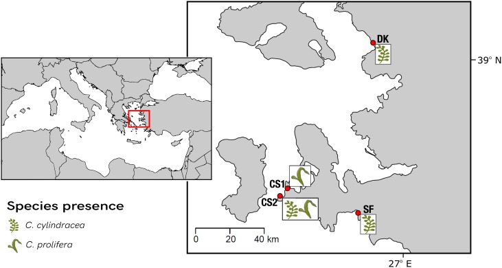 FIGURE 2