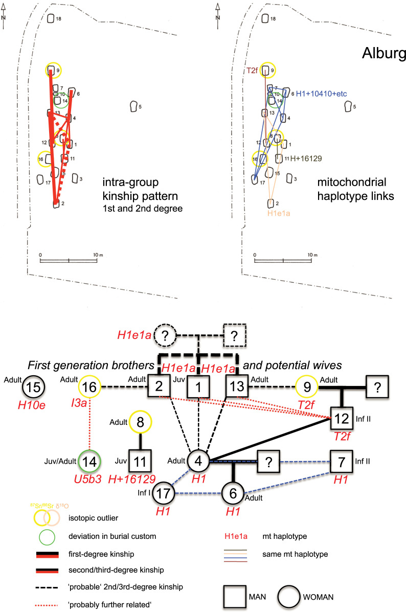 Fig 6