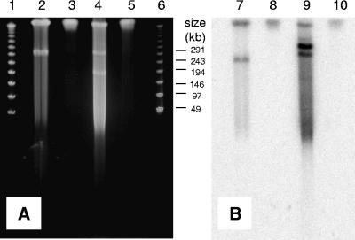 FIG. 3.