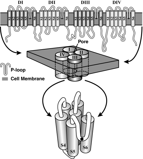 Fig. 1.