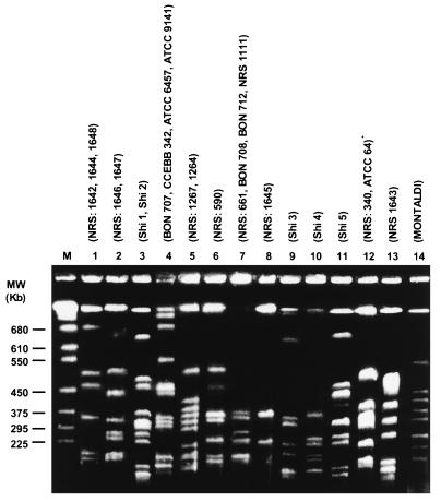 FIG. 1