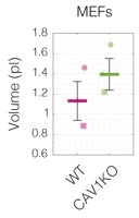 Author response image 11.