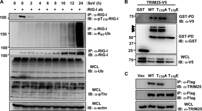 FIG. 6.