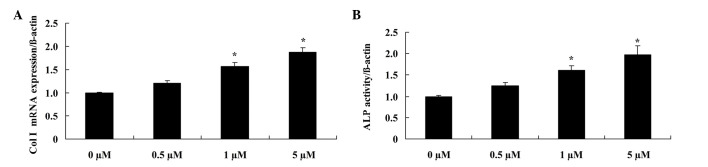 Figure 5.