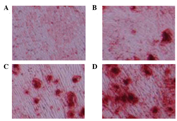 Figure 4.