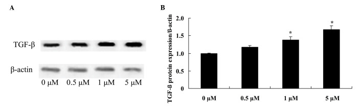 Figure 6.