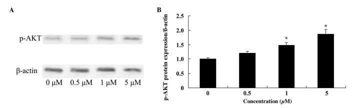 Figure 7.