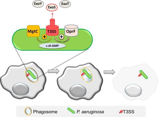 Fig 9