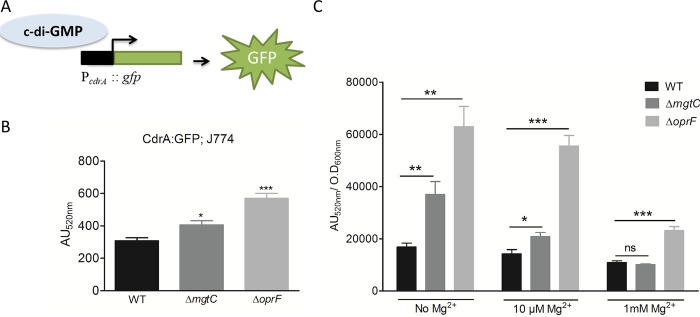 Fig 5