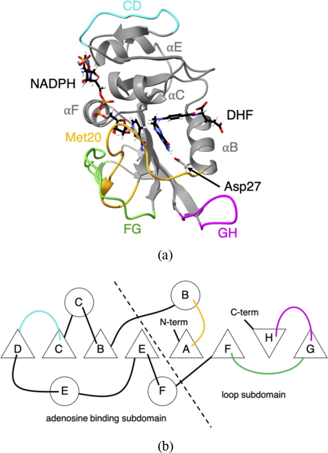 FIG. 1.