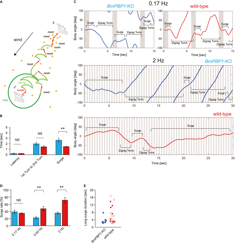 Figure 4