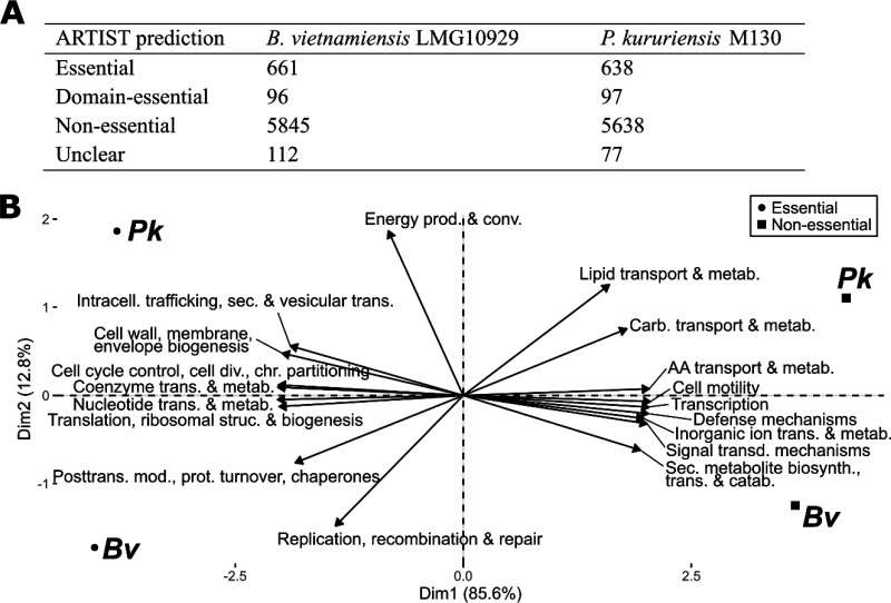 FIG 1