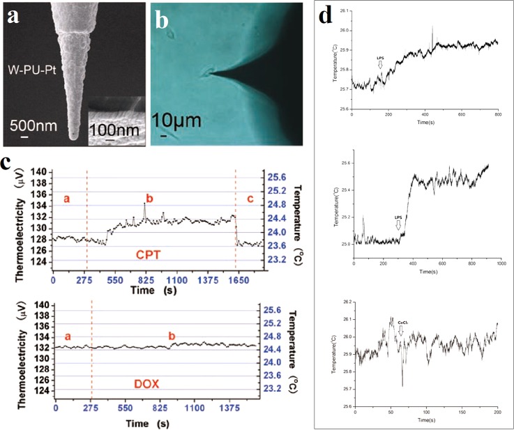 FIG. 10.