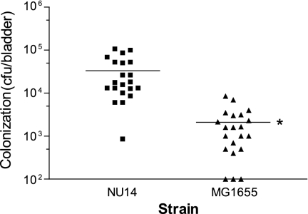 FIG. 5.