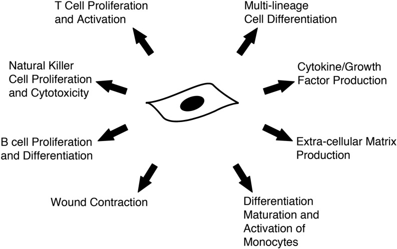 graphic file with name fig-2.jpg